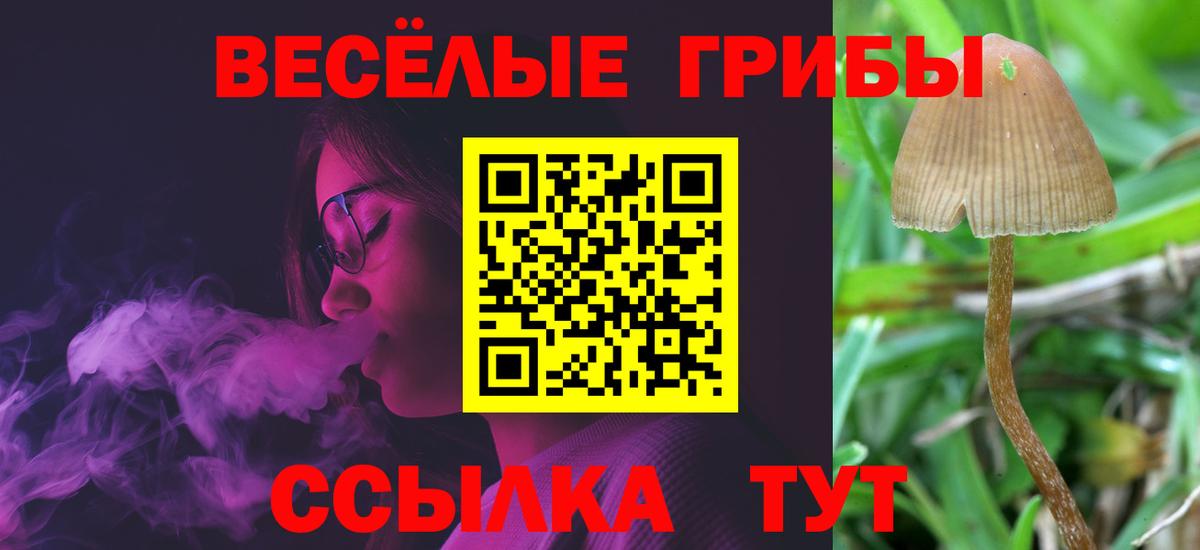 Кокаин  Конопля  Заводоуковск  МДМА  МЕТАМФЕТАМИН  Гашиш  МЕФ   Вход с VPN  Гашиш 